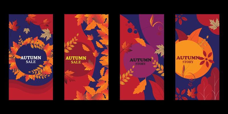 attractive autumn set