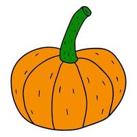 Cartoon linear doodle retro pumpkin isolated on white background. Harvest icon. vector