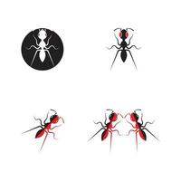 Ant vector illustration design