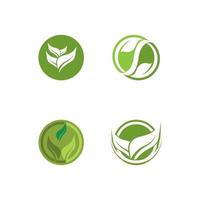 logotipos de la ecología de la hoja del árbol verde vector