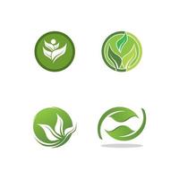 logotipos de la ecología de la hoja del árbol verde vector