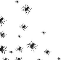 Halloween spiders with a white background vector