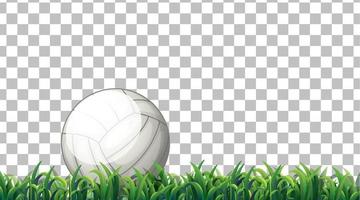 Volleyball  on the grass field on grid background vector