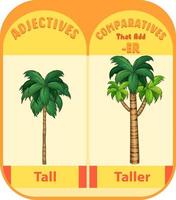 Comparative adjectives for word tall vector