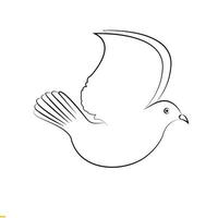 Bird Line Art Vector logo Design for Business and Company