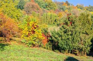 Golden autumn in the park. Yellow and red leaves on the trees photo