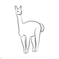 diseño de logotipo de vector de arte de línea de camello para negocios y empresa