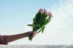 bouquet of pink tulip flowers in male hand against blue sky background photo
