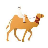 bedouin in camel vector