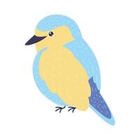 kingfisher bird specie vector