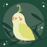 canary bird animal vector