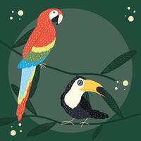 parrot and toucan vector