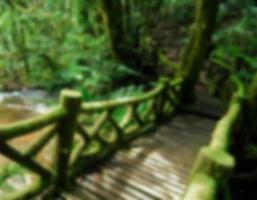 Wooden bridge in to the jungle, thailand, blur background photo