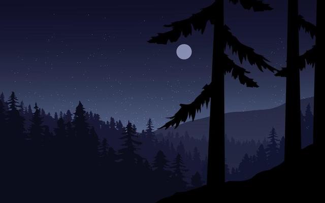Dark Forest Vector Art, Icons, and Graphics for Free Download
