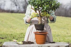 portrait woman gardening
