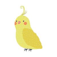 canary bird specie vector