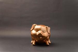 Piggy bank showing savings, income, investments, stocks photo