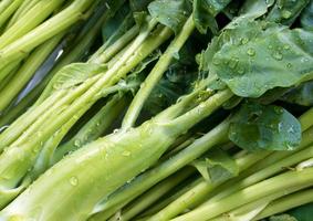 Thai Morning glory and Chinese Kale wash in water photo