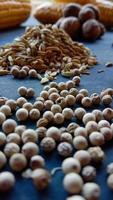 Photo of some cooking ingredients such as white pepper, pepper, nutmeg, cloves on black background