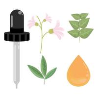 pipette oil flowers vector