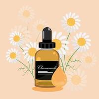 chamomile essential oil vector