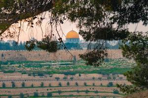 Panoramic view of Jerusalem old city and the Temple Mount through a tree during a dramatic colorful sunset photo