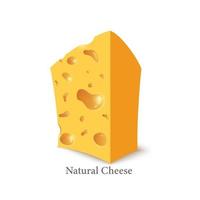 queso holandés low poly. quesos sólidos frescos, nutritivos y sabrosos vector