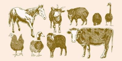 Animals set. Horse, wild boar, cow, chicken, goat, sheep, duck, swan vector