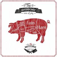 Cut of meat set. Poster Butcher diagram, scheme and guide - Pork. Vector illustration