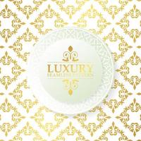 Luxury ornament pattern design background vector