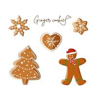 A set of ginger cookies of different shapes vector