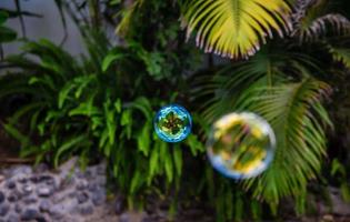 Soap bubbles fly in the garden photo