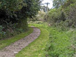 Footpath through grass and trees with fallen leaves photo