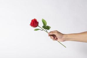 Hand holding red rose flower on gray background for Valentines day. photo