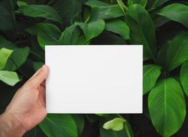 mano sosteniendo papel blanco sobre hoja verde para publicidad de texto de diseño de maqueta. foto