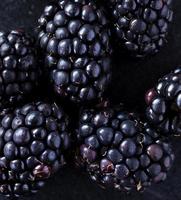 blackberries on wooden table photo