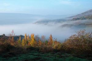 Beautiful landscape with a colourful forest in autumn. Fog and mountains in the background. Navarra, Spain photo