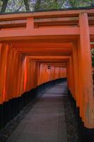 Walking path with a tunnel of red torii gates at Fushimi Inari, Japan photo