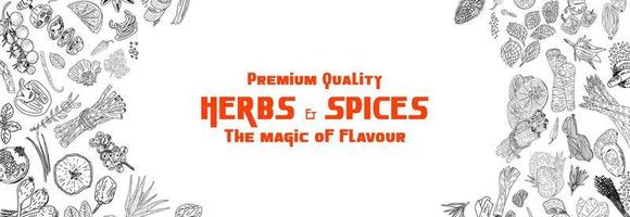 Hand drawn herbs and spices. Vector.