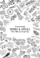 Hand drawn herbs and spices. Vector. vector