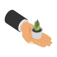 Plant in isometric hand vector