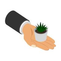 Plant in isometric hand vector