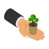 Plant in isometric hand vector