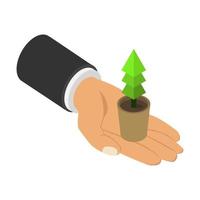 Plant in isometric hand vector