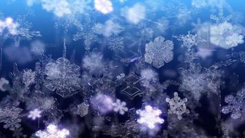 Christmas snowflakes falling with Looped video