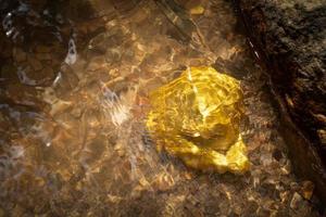 Mineral de pepita de oro puro que se encuentra en la mina con fuentes de agua naturales. foto