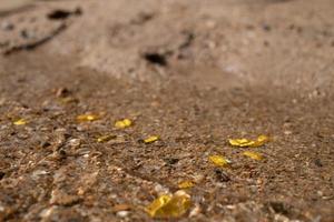 Mineral de pepita de oro puro encontrado en la mía con fuentes naturales bajo el agua foto