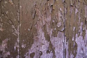 Wall with wooden boards photo