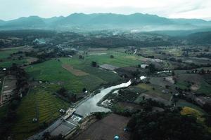 Green rice fields and farming high angle view photo