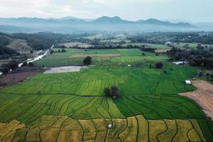 campos de arroz verde y agricultura vista de ángulo alto